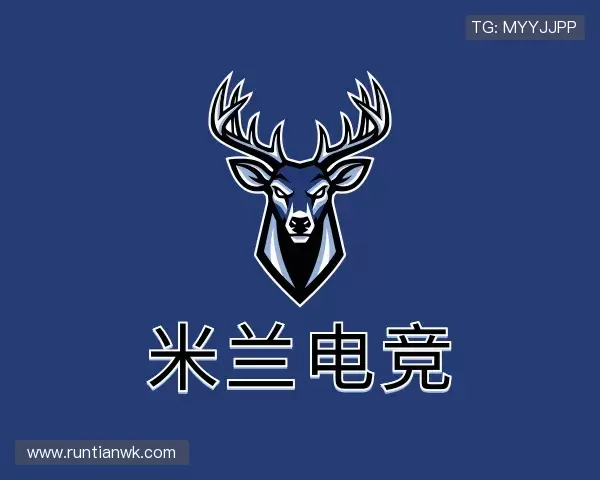 解读米兰电竞